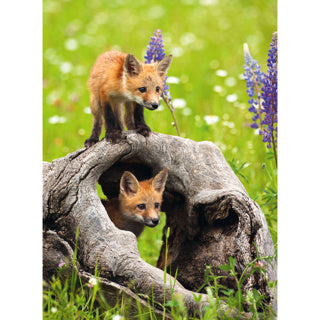 Ravensburger Puzzle foxes 300 XXL