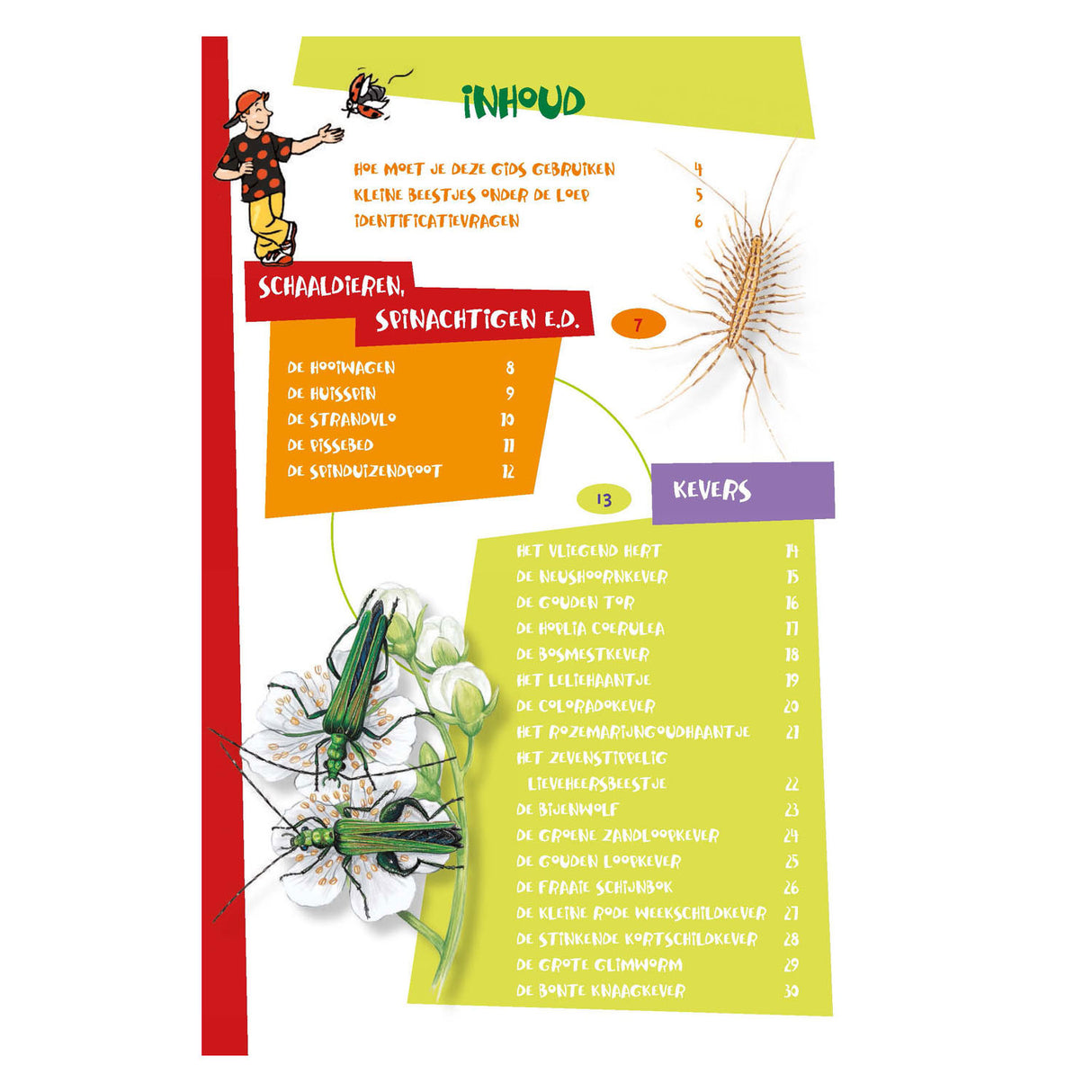 The best insect guide for kids