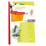 The best insect guide for kids