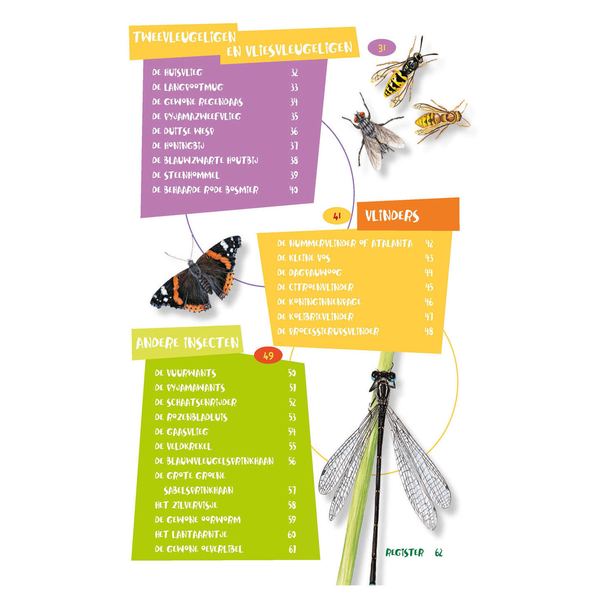 The best insect guide for kids
