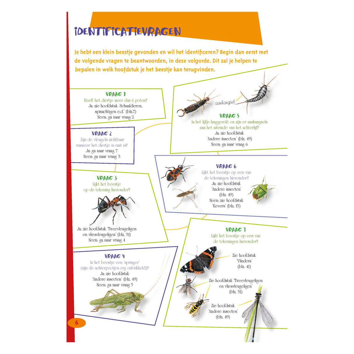 The best insect guide for kids