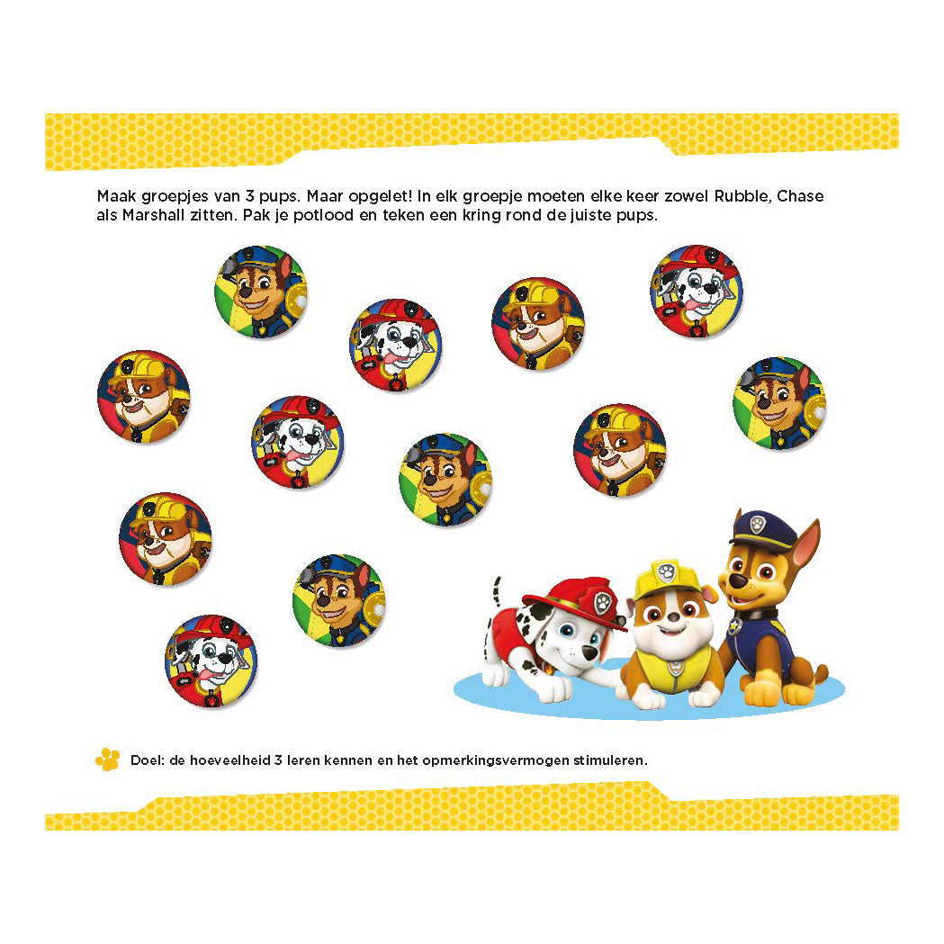Paw patrol - leuke telspelletjes (4-5 jaar)