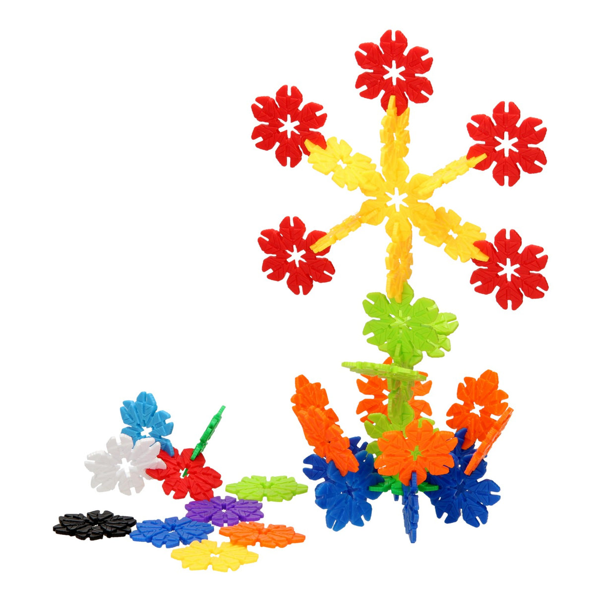 Land Forms of Flower in Storage Box, 200 dlg.