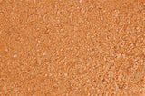 Terrakota komodo caco