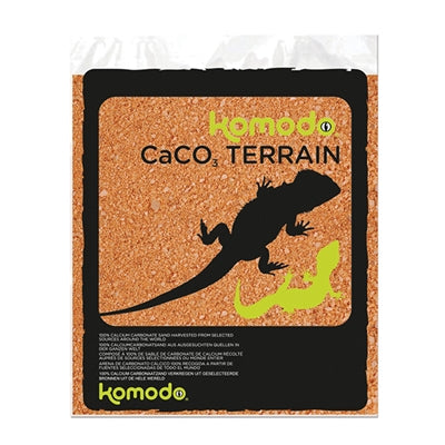 Terrakota komodo caco