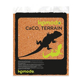 Terrakota komodo caco