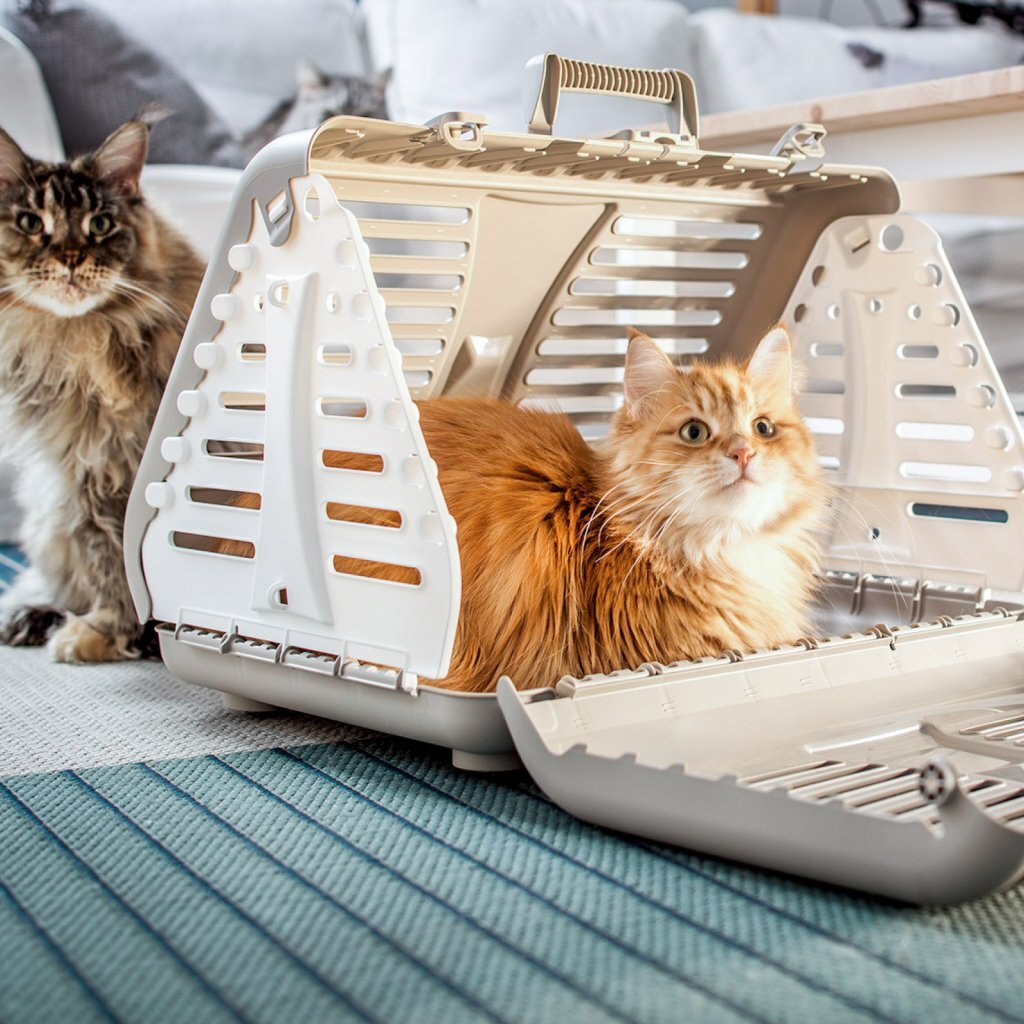 Rotho Toby Pets Carrier Antracite