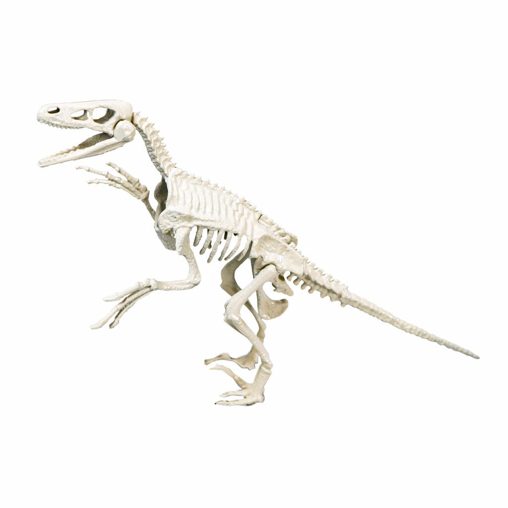 Clementoni Science Game Archäospel Velociraptor
