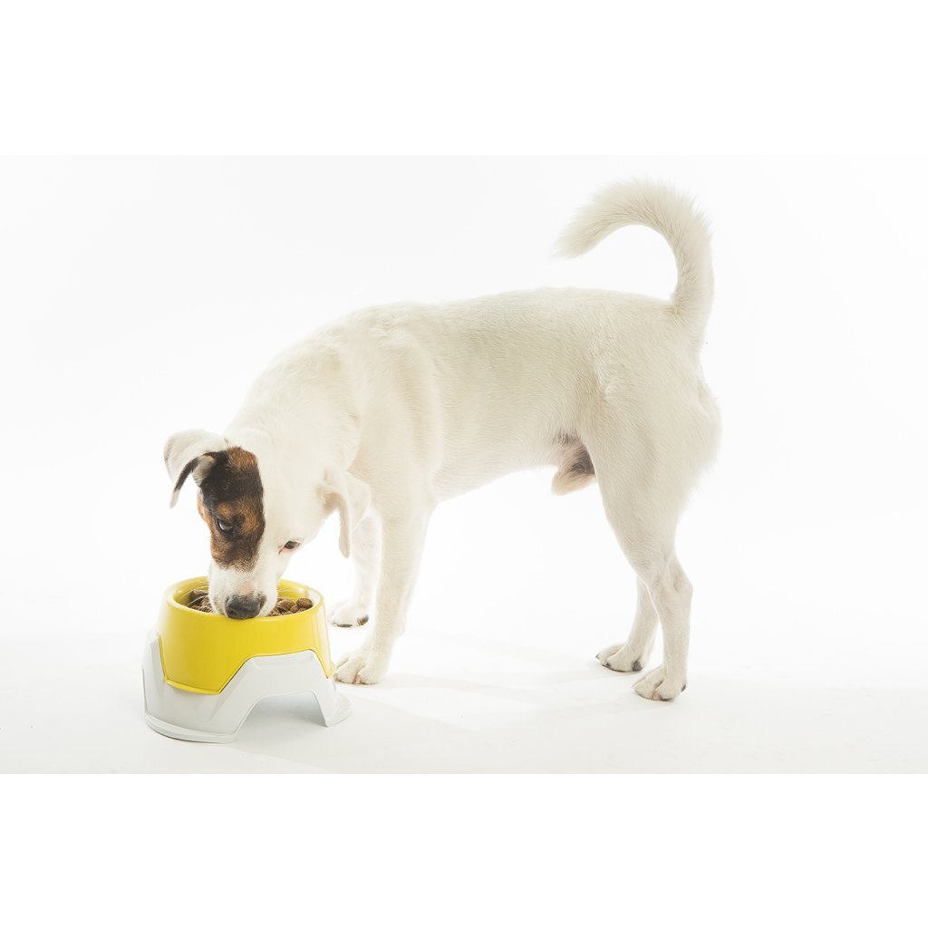 Bama Pet Feeding Bin apilable 19x10-13 cm CM Surti