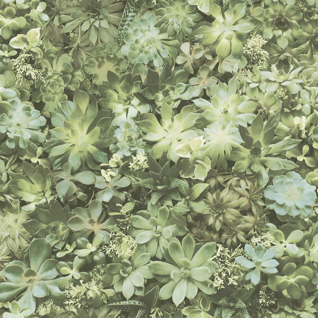 Noordwand noordwand ozadje zimzelene sočne groene in bež