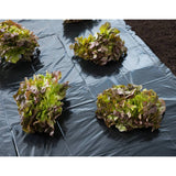 Nature Nature Pokrywa Folia 4x6 M 50µ Black
