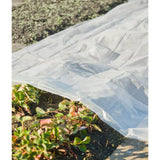 Nature Nature Planthoes 4x6 m 100µ trasparente