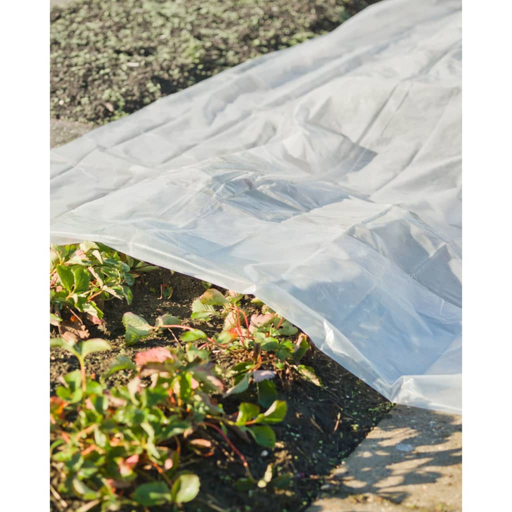 Copertura dell'impianto naturale 4x6 m 200µ trasparente
