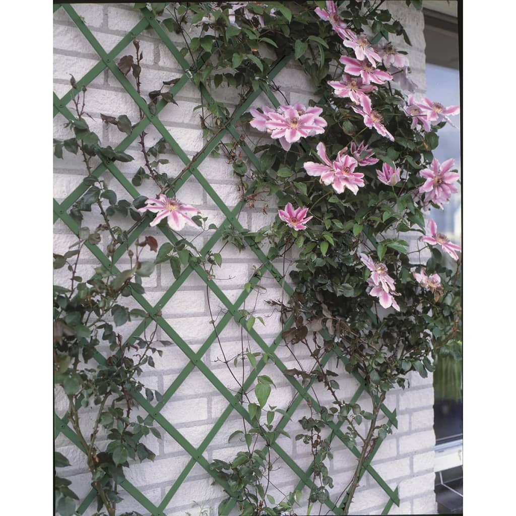 Rack d'escalade de plante naturel 100x200 cm PVC vert 6040704