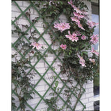 Rack d'escalade de plante naturel 100x200 cm PVC vert 6040704