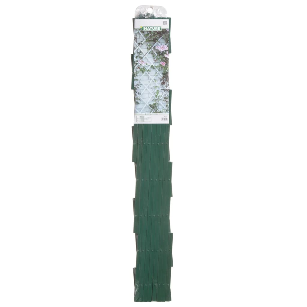 Rack d'escalade de plante naturel 100x200 cm PVC vert 6040704