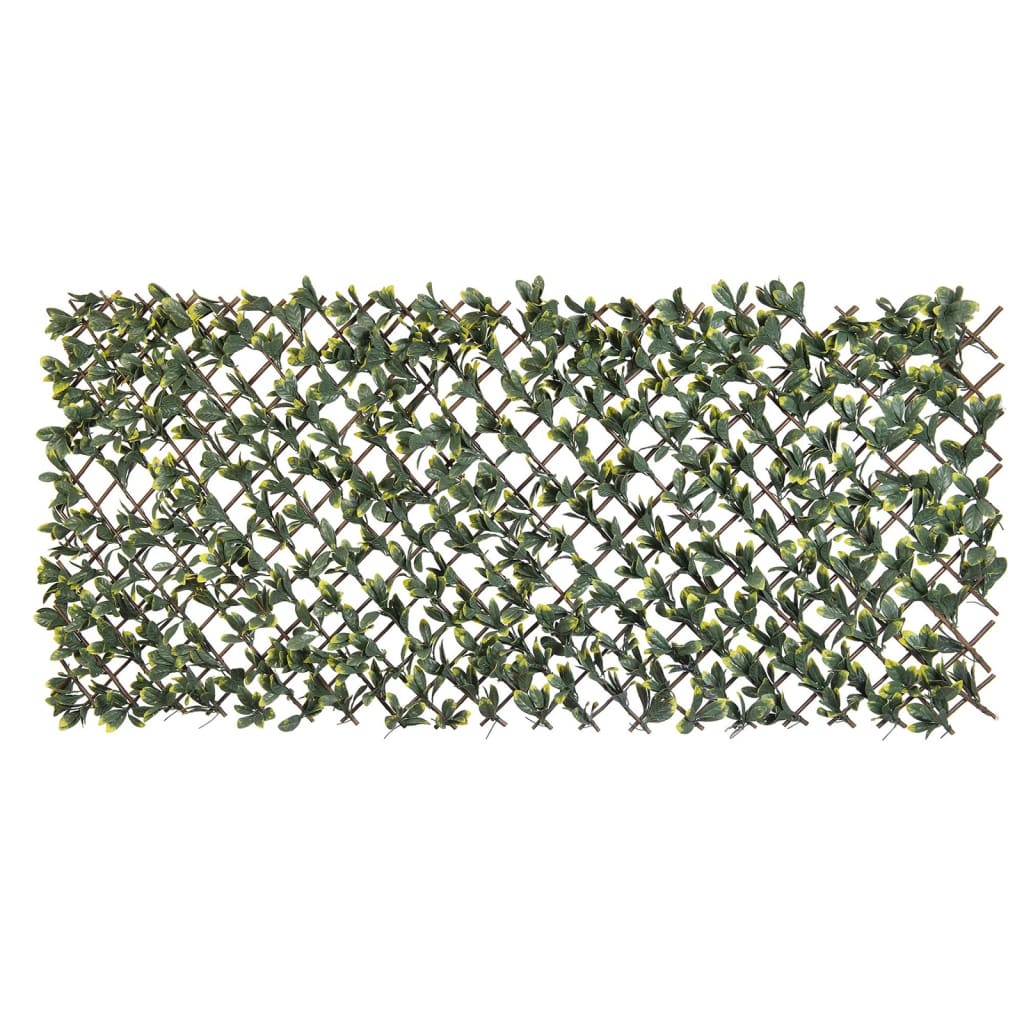 Nature Latwerk s kalifornijskim ligusterjem zeleno in rumeno rezilo 90x180 cm
