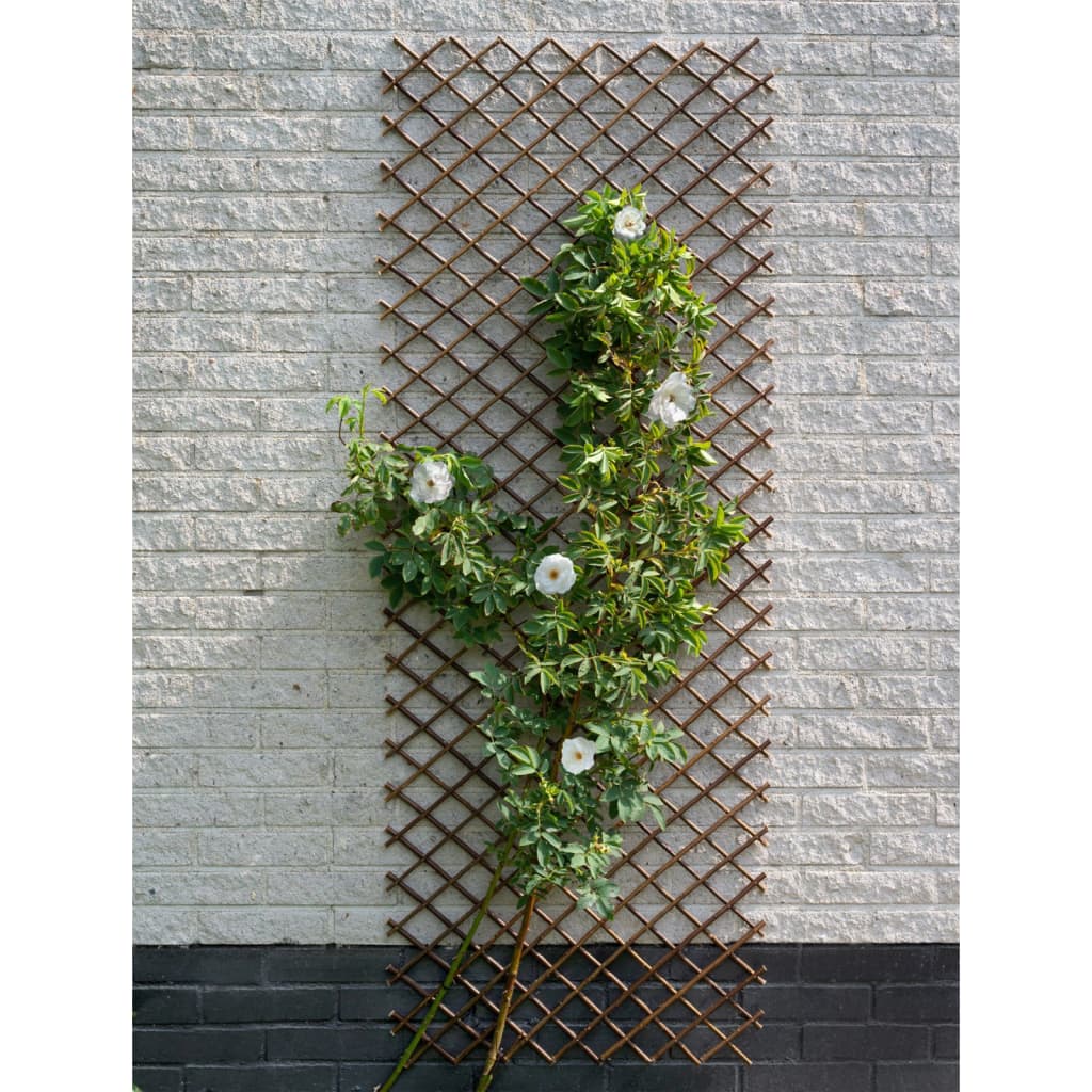 Nature Nature Latwerk 60x180 cm naravne vrbe rjave barve
