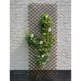 Nature Nature Latwerk 60x180 cm naravne vrbe rjave barve