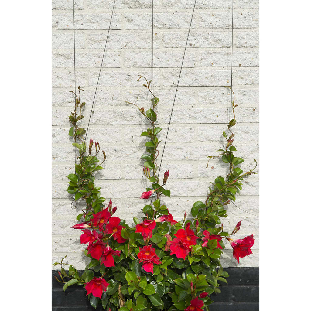 Nature Nature Spandraad System til klatring af planter 6040760
