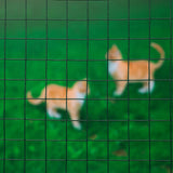 Nature Nature Mesh Square 0,5x5 m 13 mm in acciaio rivestito in plastica