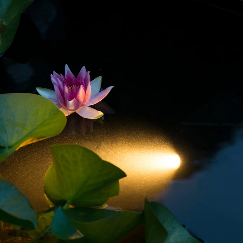 Ubbink ubbink Aquaspotlight LED podvodní osvětlení