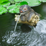 Ubbink Floating Spray Figer Otter na Tree Trunk