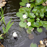Ubbink ubbink en 3 parties d'eau liilial ensemble de décoratif blanc