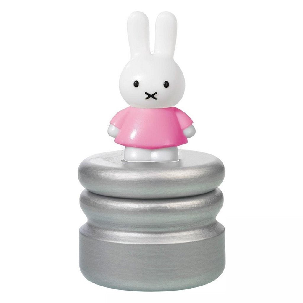 Bambolino Spillsaachen Zännbox rosa