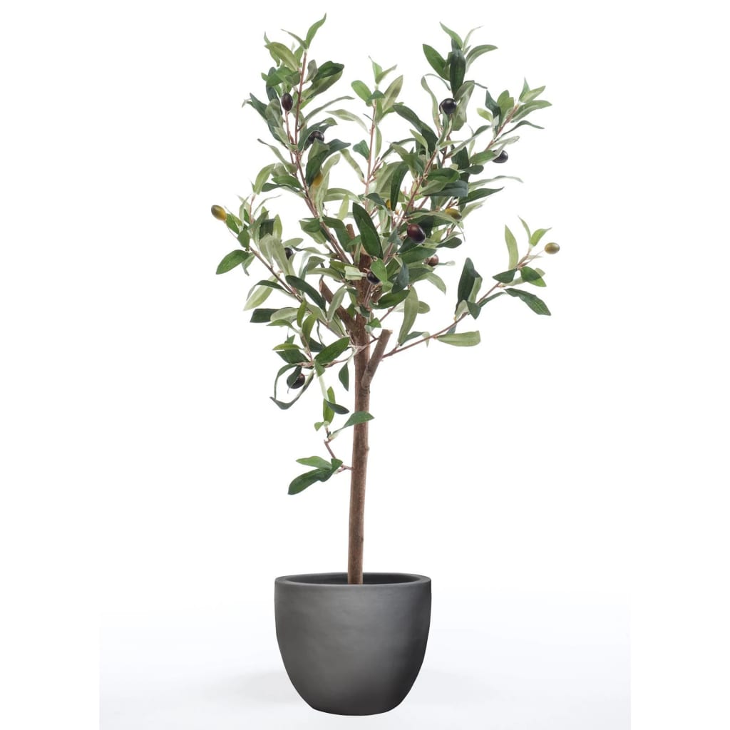 Smaragd Emerald Art Plant Olivenbaum Mini 65 cm