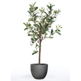 Smaragd Emerald Art Plant Olivenbaum Mini 65 cm