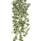 Emerald Esmerald Art Plant Ivy colgando dos tono verde 100 cm 11,960