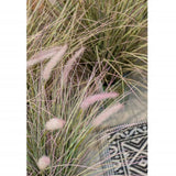 EMEMAARD Smaragd Art Planz an Zinc Pot Lampporeserergras 58 cm