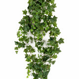 Emoragd Smaragd Art Planz Ivy Hänkend Gréng 180 cm 418712