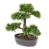 Smaragd Emerald Art Plant Ceder Bonsai Green 32 cm 420001