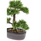 Smaragd Emerald Art Plant Ceder Bonsai Green 32 cm 420001