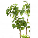 Emoragd Smaragd Kunstboom Aralia 135 cm 420292