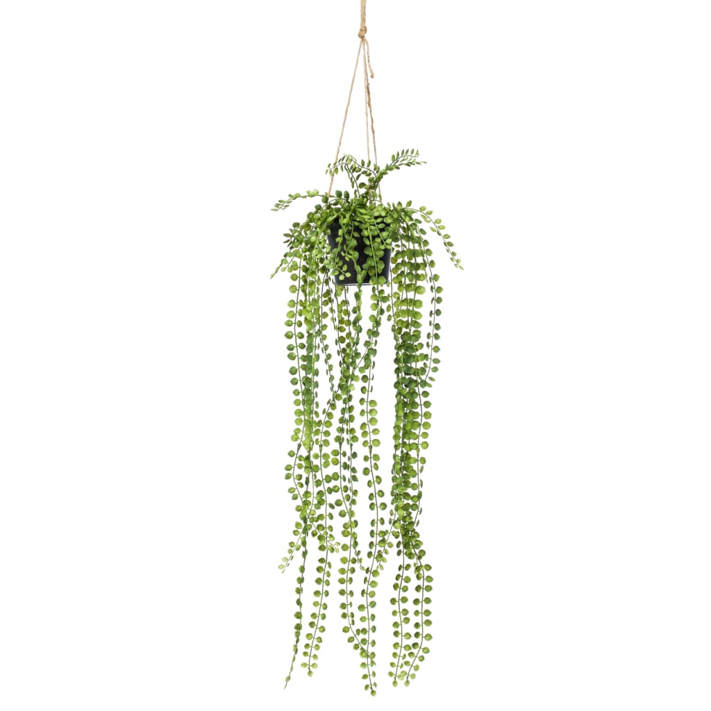 Emerald Emerald Art Plante suspendue dans Pot Ficus pumila 60 cm