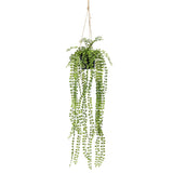 Emerald Emerald Art Plante suspendue dans Pot Ficus pumila 60 cm