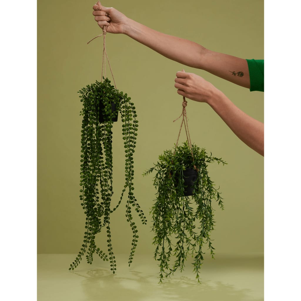 Emerald Emerald Art Plante suspendue dans Pot Ficus pumila 60 cm