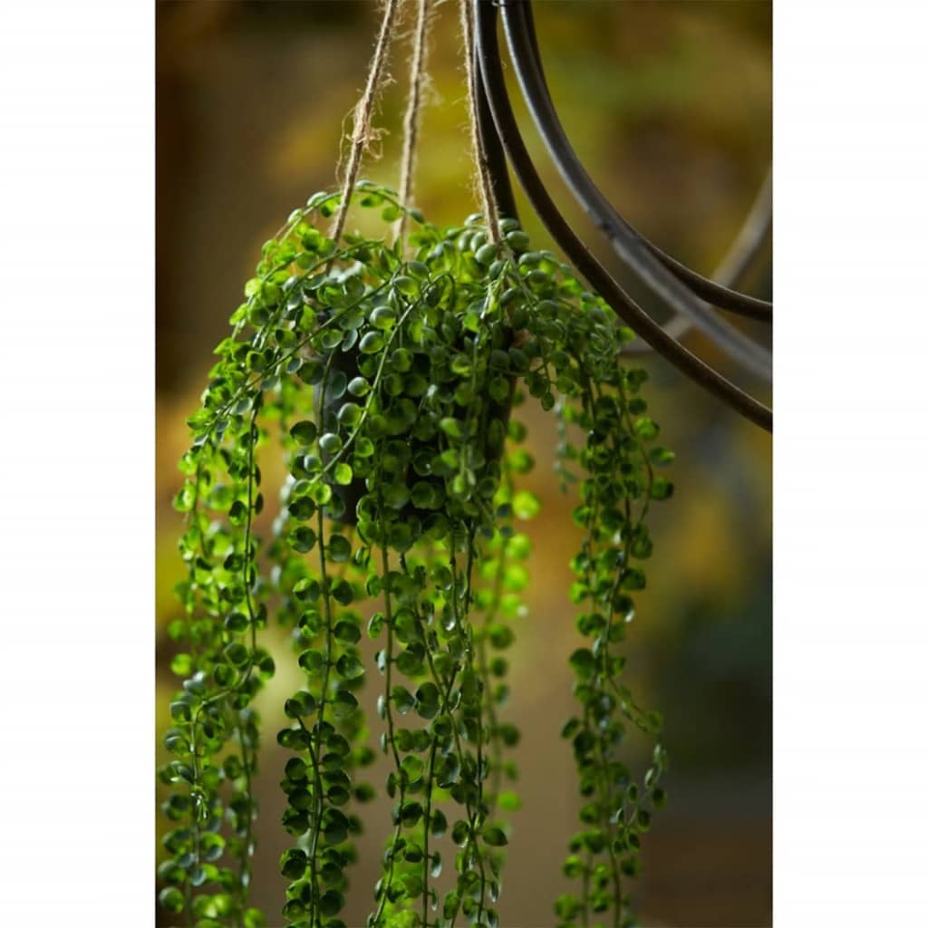 Emerald Emerald Art Plante suspendue dans Pot Ficus pumila 60 cm