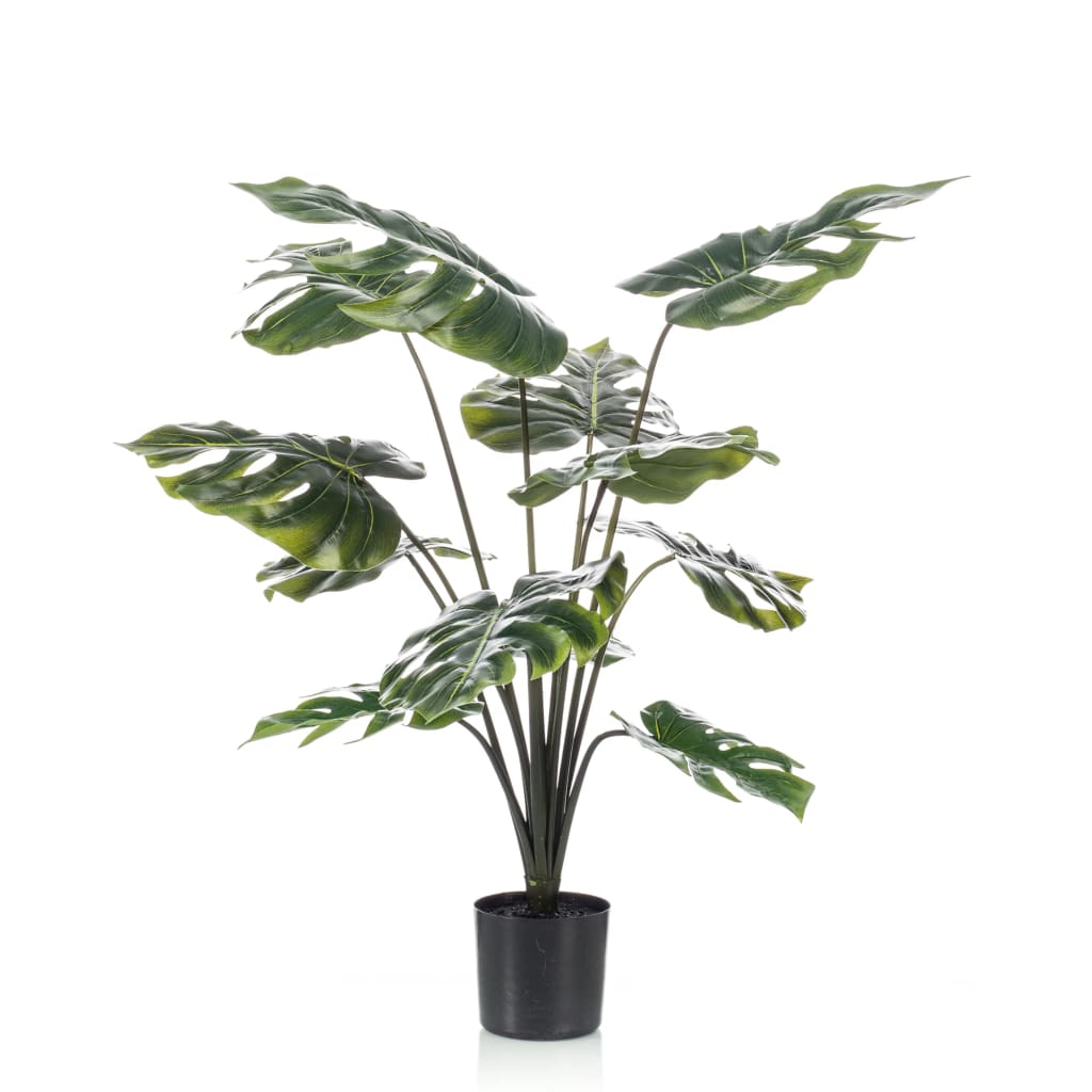Smaragd Emerald Art rastlinja rastlin v loncu 98 cm