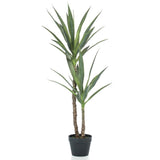 Emoragd Smaragd Art Planz am Pot YucCA 110 cm