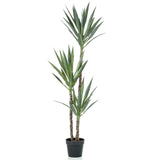 Emerald Emerald Art Rostlina v Pot Yucca 150 cm