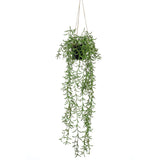 Smaragdna smaragdna umetniška rastlina, ki visi v loncu Senecio 70 cm