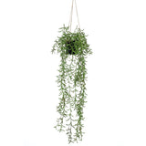 Smaragdna smaragdna umetniška rastlina, ki visi v loncu Senecio 70 cm