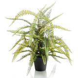 Emerald Emerald Art Plant i plastkruka Boston Fern 70 cm
