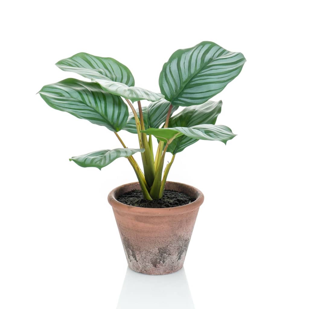 Smaragdna smaragdna umetniška rastlina v Pot Terra Calathea Orbifolia 32 cm