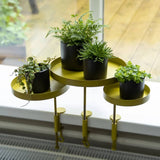 Essschert design essschert design växtblad med klämma runt s guldfärgade
