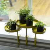 Essschert design essschert design växtblad med klämma runt l guldfärgade